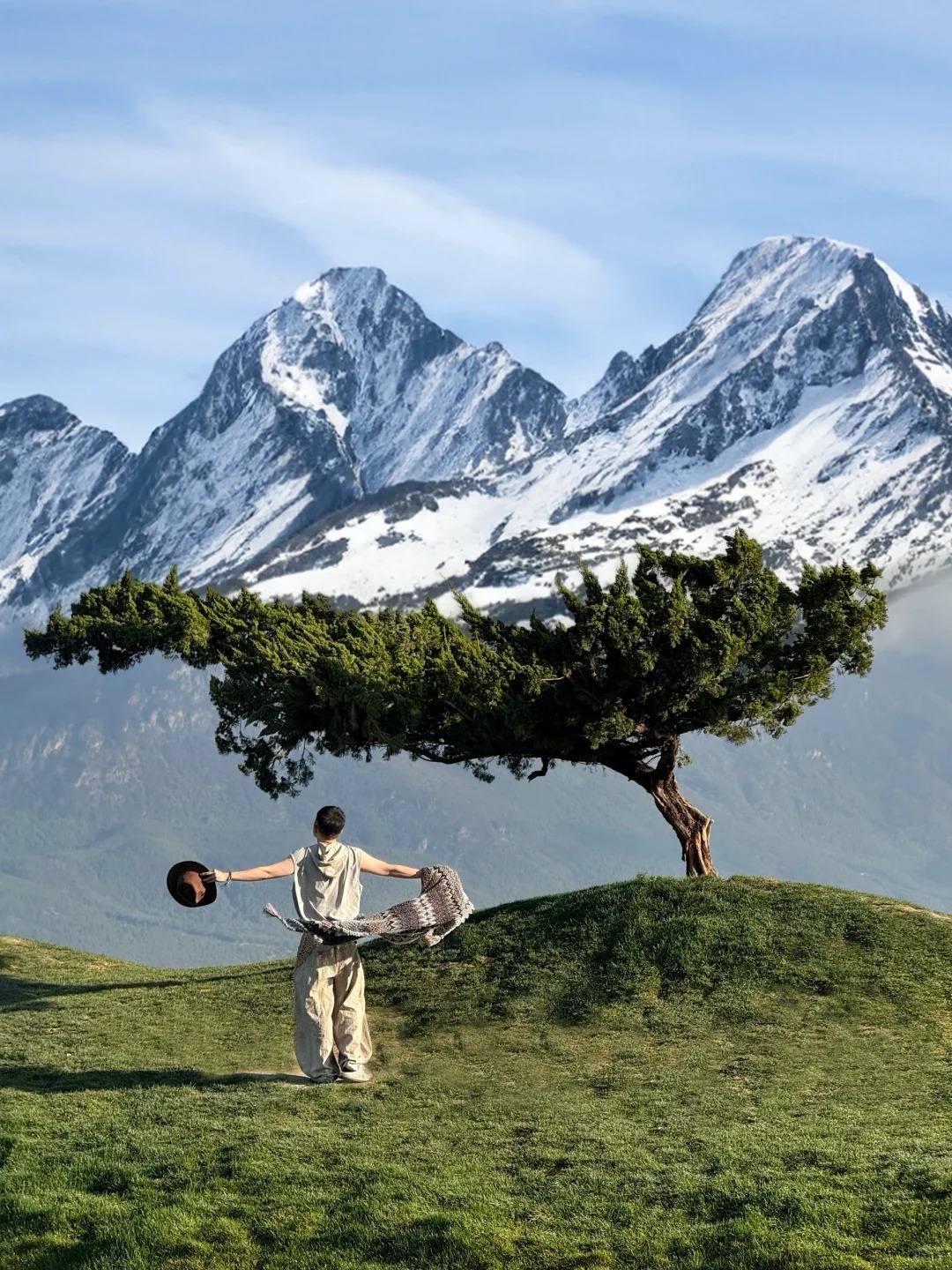 为了这9️⃣颗树！！我愿意再去一次云南！！！_1_比先生要早睡_云南-来自52tours 我爱旅游网